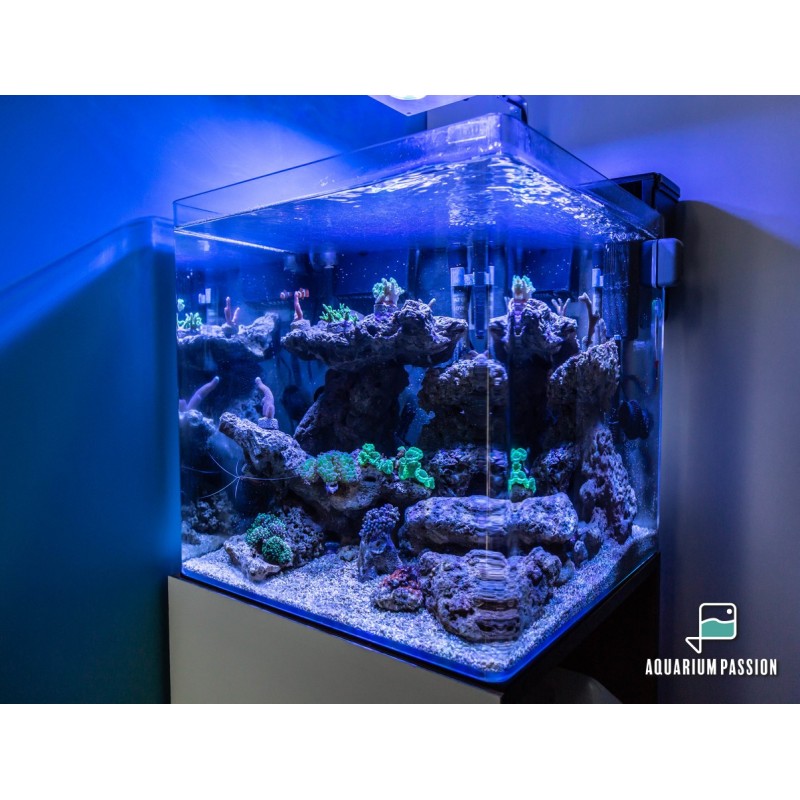Nano reef 60 litri completo di tecnica: skimmer, filtro a zainetto, pompe  di movimento e plafoniera led Aquael Leddy Slim Duo