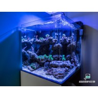 Nano reef 60 litri completo di tecnica: skimmer, filtro a zainetto,...