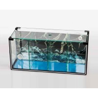 Bettiera in vetro con filtro biologico - 4 scompartimenti - 51x20x25h cm