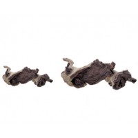 Radice mopani bicolor grande circa 35-45 cm, legno