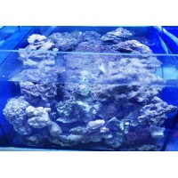 Carib Sea Ocean Direct Natural Live Sand Sabbia Corallina Bianca per acquario 9,07 kg 