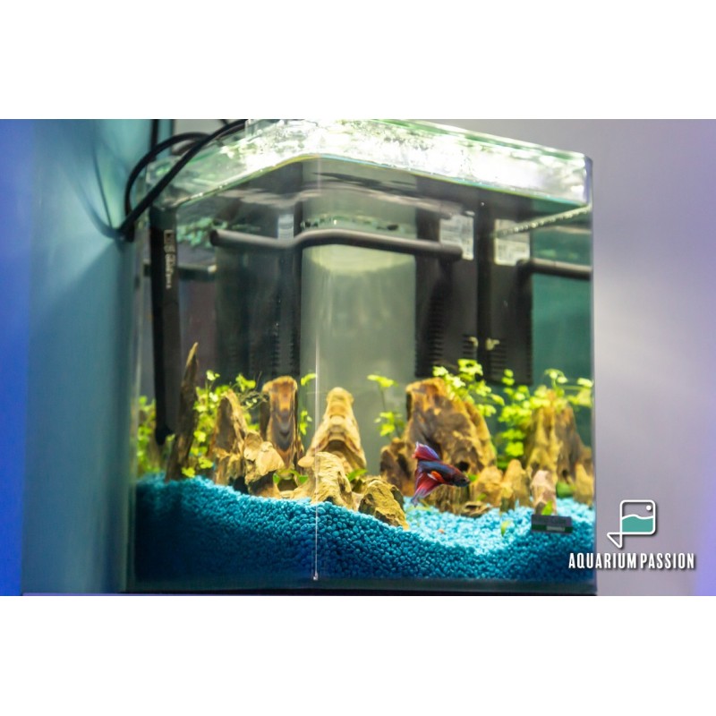 Mini acquario cubo 10 litri in vetro 20x20x25h cm completo di allestimento ( sabbia, rocce e/o legno e piantina)