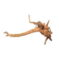 Legno Driftwood piccolo 12-18 cm, radice ornamentale