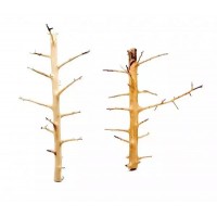 LEGNO Decor Long Hands Wood Small 20-30 cm, radice ornamentale longilinea