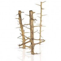 LEGNO Decor Long Hands Wood Medium 30-40 cm, radice ornamentale longilinea