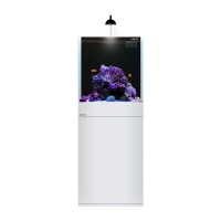 Aqpet Kit Kubic 50 reef - Acquario marino 50x50x50 cm in vetro...