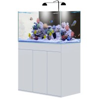 Aqpet Kit Aqua 120 reef - Acquario marino 120x50x50 cm in vetro...