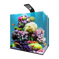 Aqpet Kubic Reef Box 40 - Acquario marino Nano reef 64 lt completo...