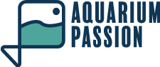 Aquarium Passion di Francesco Bosco 