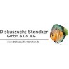 Discus Stendker